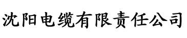 久久影视大香蕉电缆厂logo